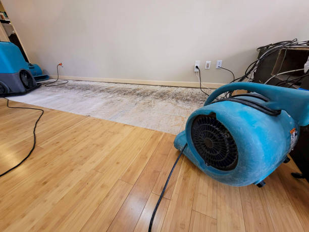 Professional Structural Drying technician working in Alpharetta, GA